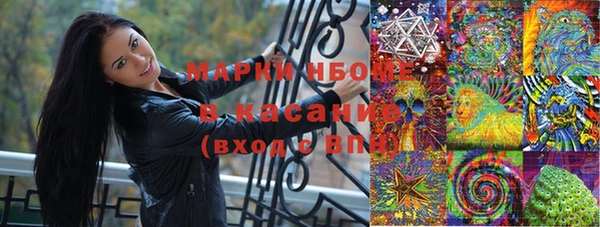 гидра Алексеевка