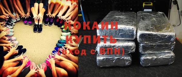 гашик Алзамай