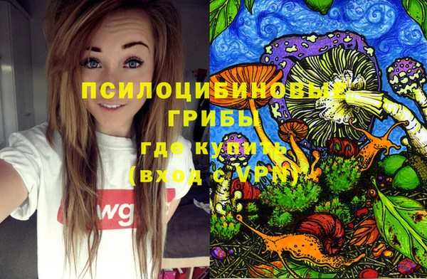 гидра Алексеевка