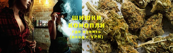 гидра Алексеевка