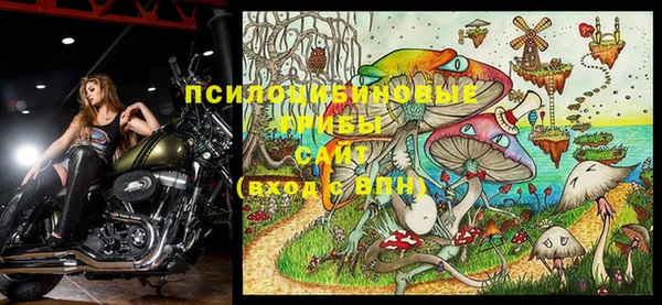 гидра Алексеевка
