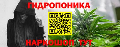 стафф Чебаркуль