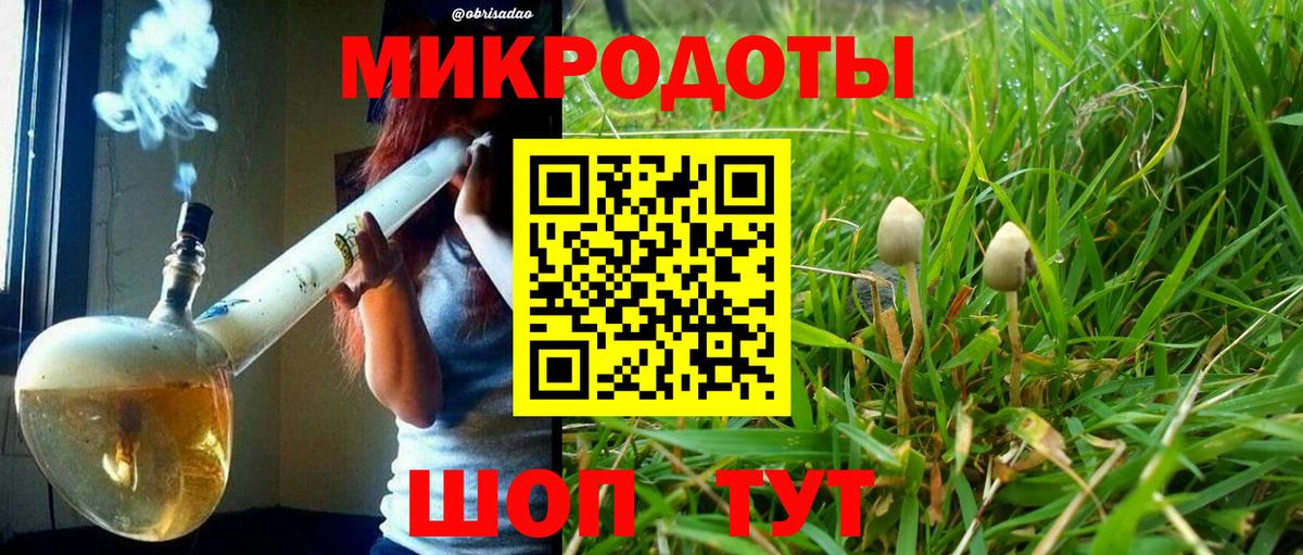 Псилоцибиновые грибы Cubensis Обнинск